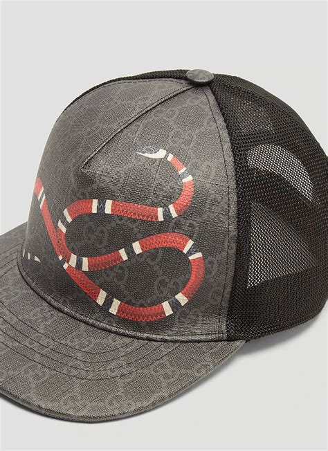 gucci kingsnake hats.